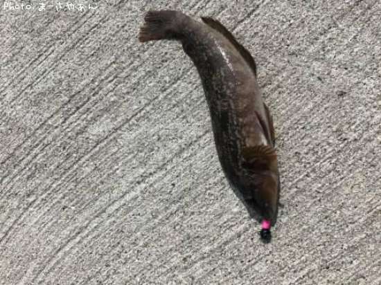 �����ʥ�