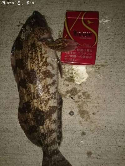 �����ʥ�