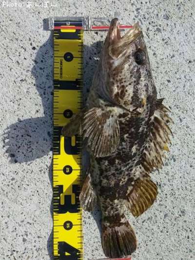 �٥å�������