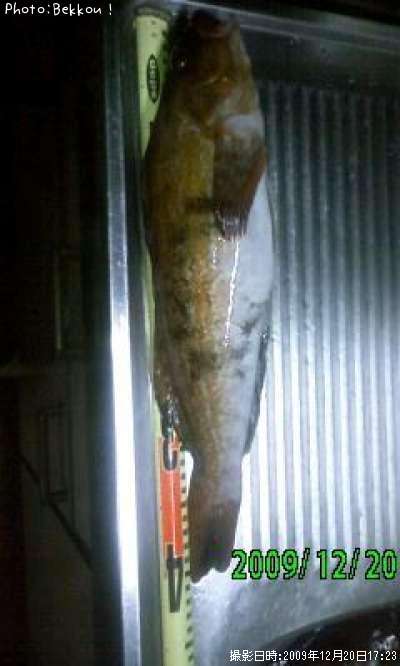 �����ʥ�