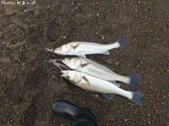 �����Х�