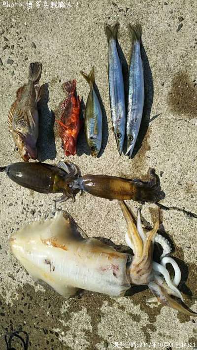 �����ꥤ�������ޥ���������������