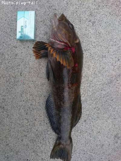 �����ʥ�