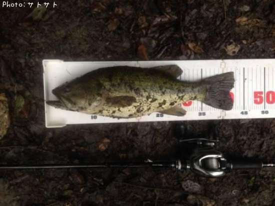 �֥�å��Х�