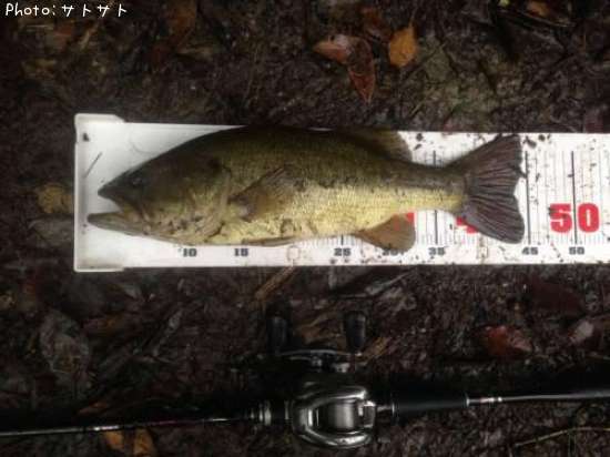 �֥�å��Х�