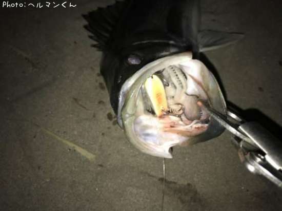 �����Х�