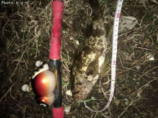 �����Υ���Х�