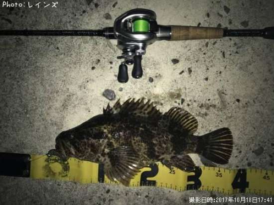 �����Υ���Х�