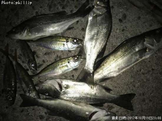 ������������