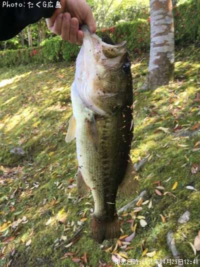 �֥�å��Х�