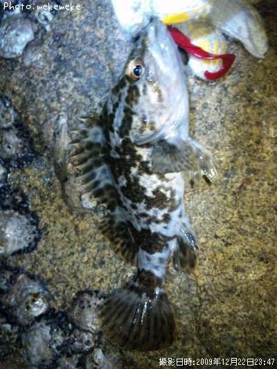 �����Υ���Х�