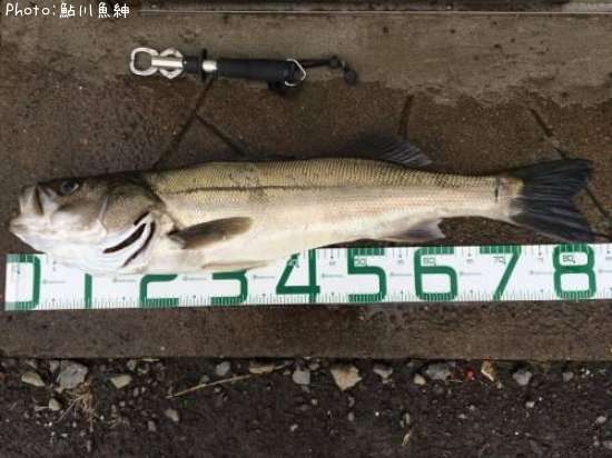 �����Х�