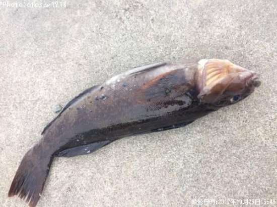 �����ʥ�