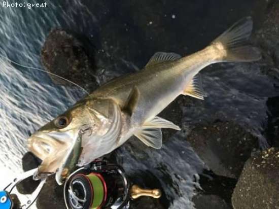 �����Х�