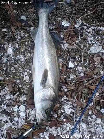 �����Х�