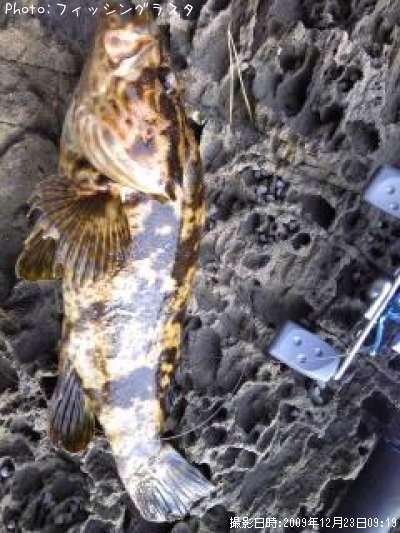 �٥å�������