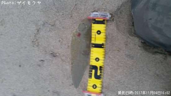 �����ӥ��