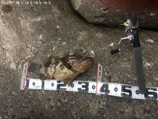 �����Υ���Х�