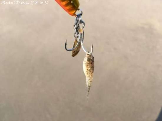 �ޥ������֤����