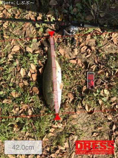 �֥�å��Х�