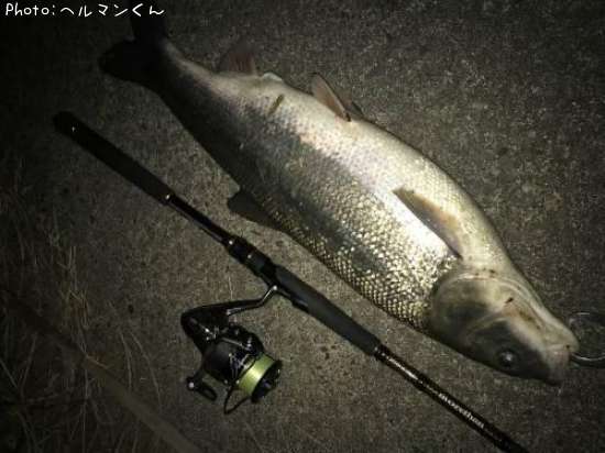 �ޥ륿������