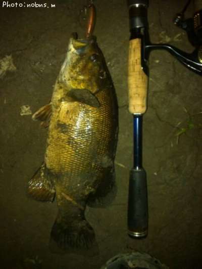 �֥�å��Х�