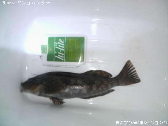 �����ʥ�