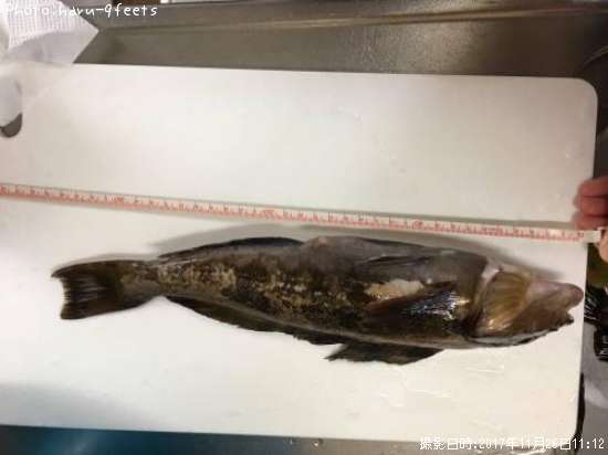 �����ʥ�