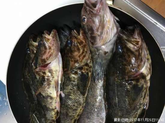 �٥å�������