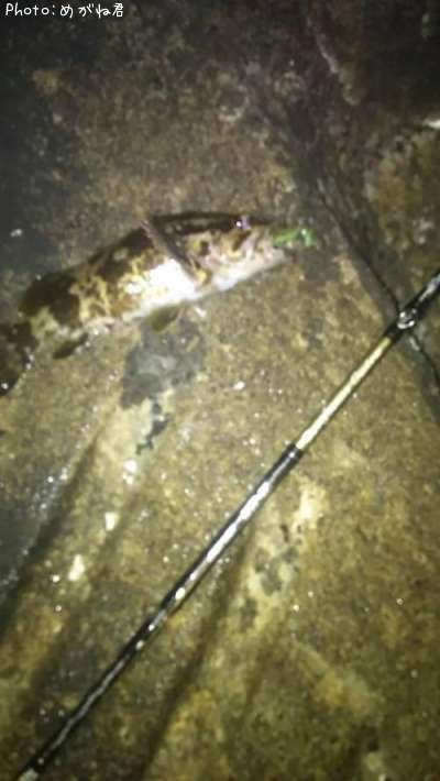 �����Υ���Х�