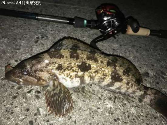 �����ʥ�