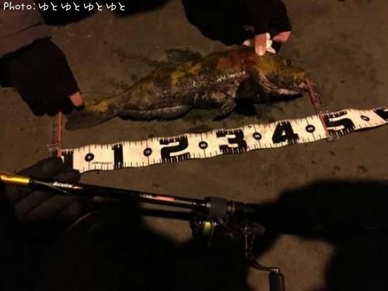 �����ʥ�