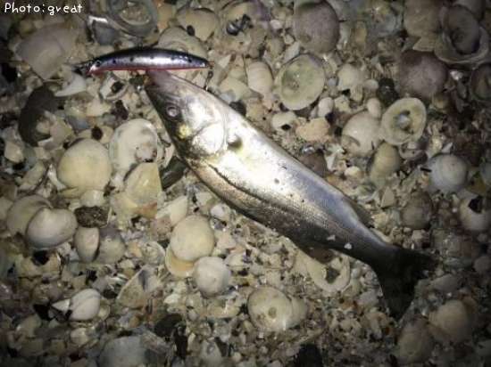 �����Х�