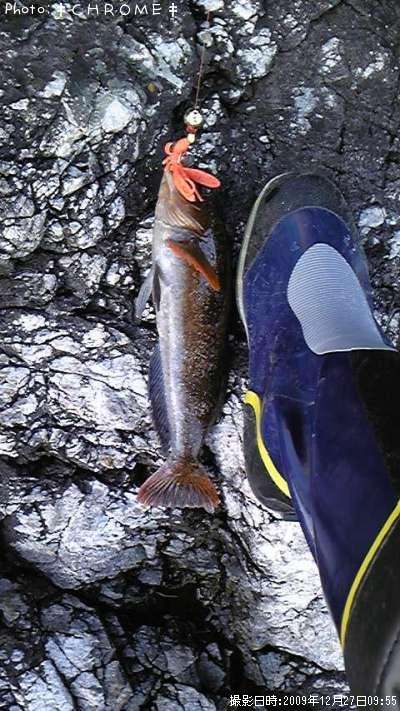 �����ʥ�