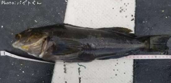 �����ʥ�