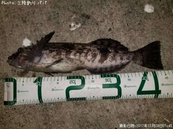 �����ʥ�