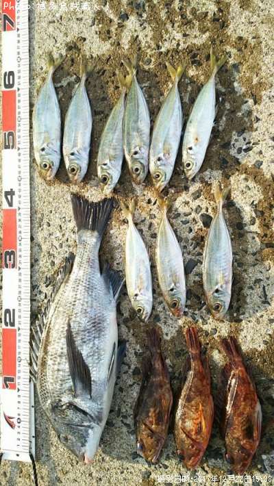 ���̡�������������