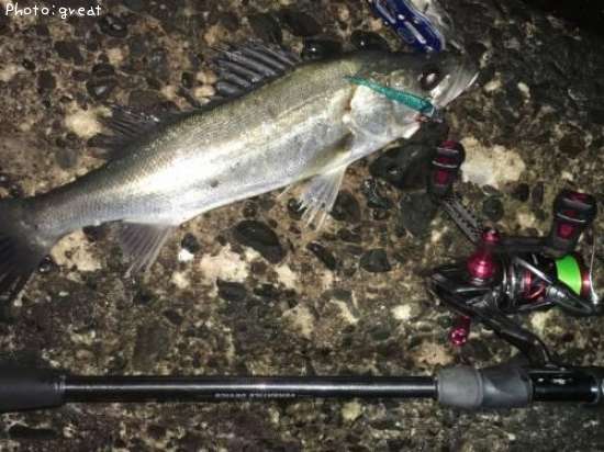 �����Х�