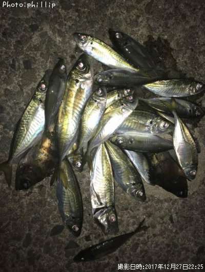 ��������Х�