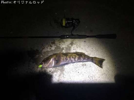 �����ʥ�