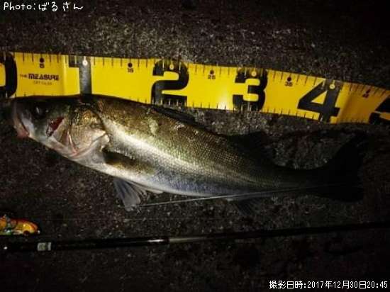 �����Х�