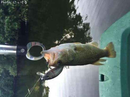 �֥�å��Х�