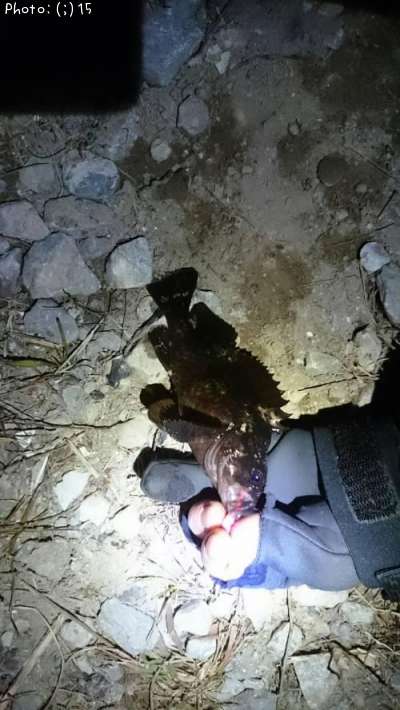 ��Х롢����