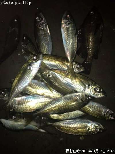 ��������Х�