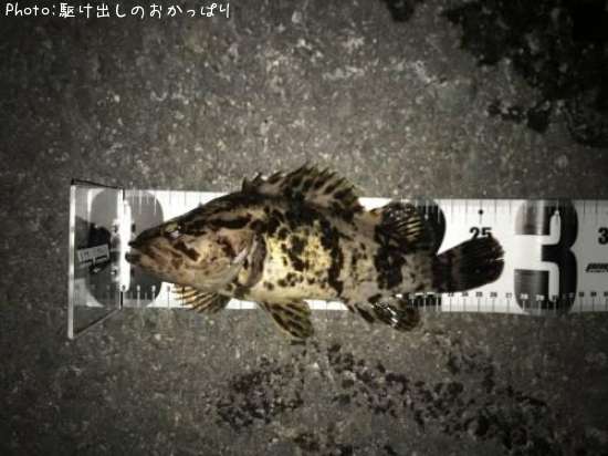 �����Υ���Х�