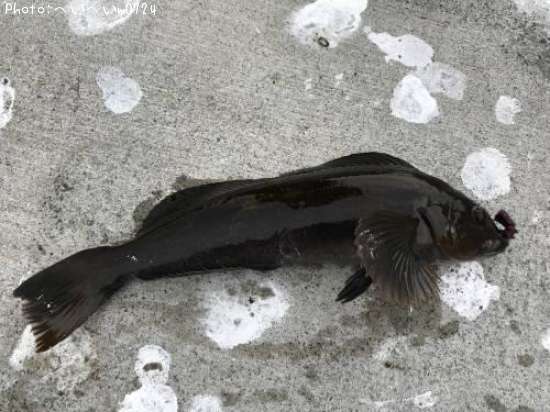 �����ʥ�