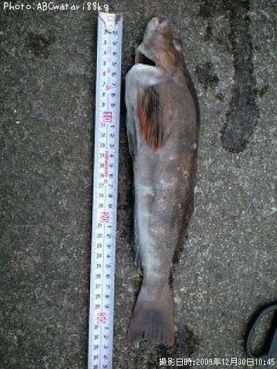 �����ʥ�