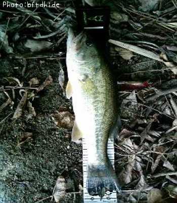 �֥�å��Х�