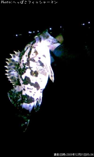 �٥å�������