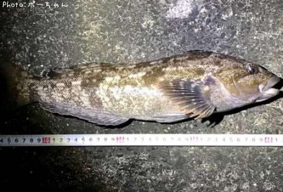 �����ʥ�